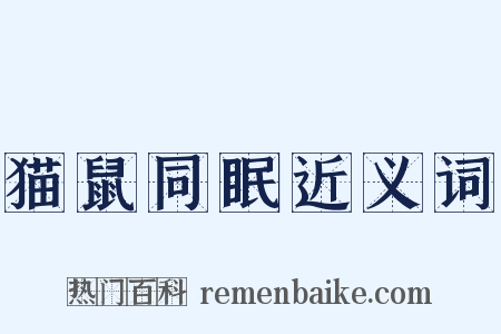 猫鼠同眠近义词是什么意思的图片